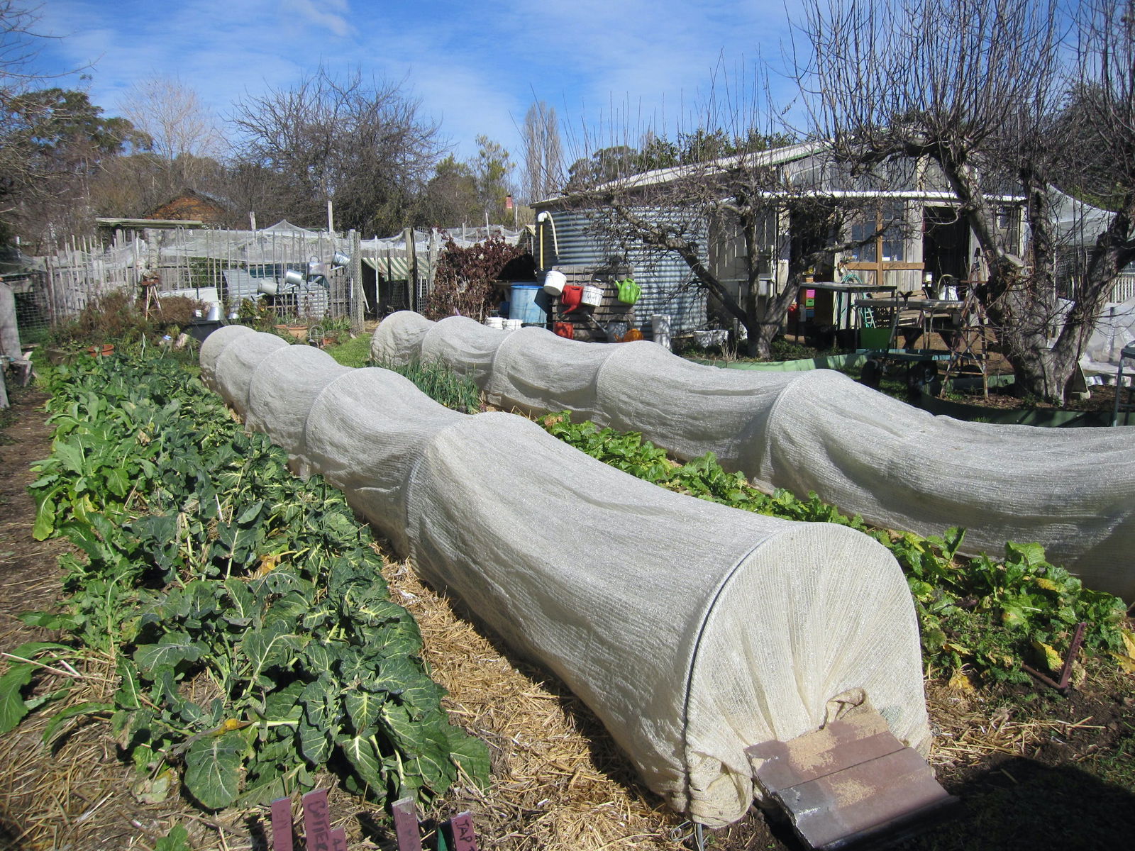 Wynlen House: Tour a Unique Urban Regenerative Farm and Market Garden