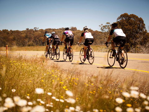 7 Peaks Ride - Dinner Plain - Accommodation Mount Tamborine 0