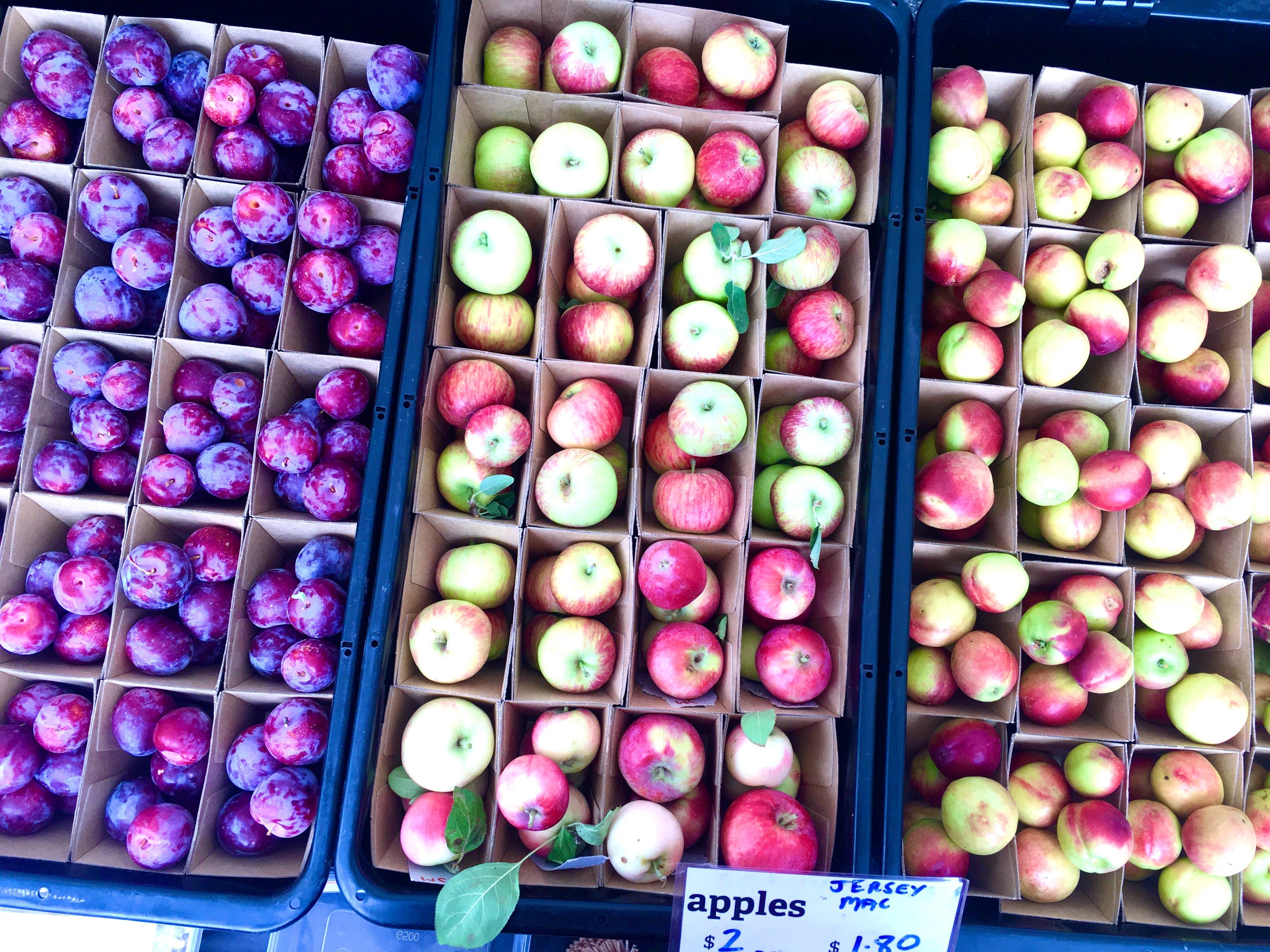 Adelaide Showground Farmers' Market - thumb 0