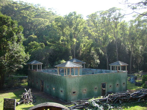 Alpha Paintball - Accommodation Brisbane 0