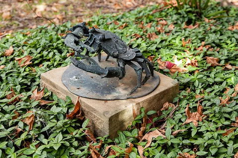 Antony Symons - Retrospective Of A Life's Work - Sunshine Coast Guide 0