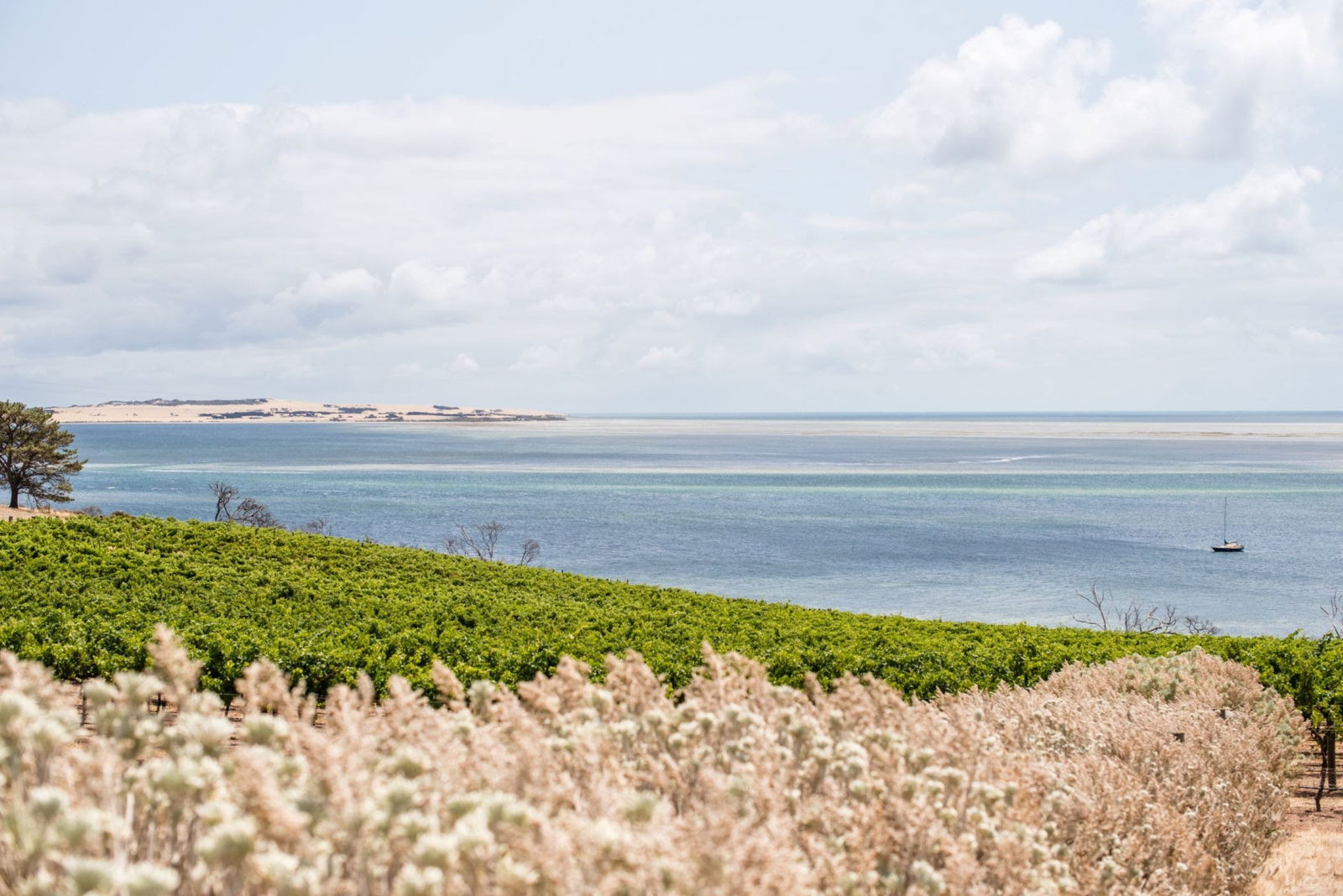  Sunshine Coast Guide