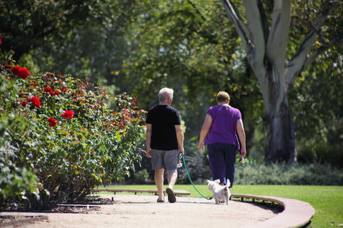 Benalla Botanical Gardens - Accommodation Sunshine Coast 1
