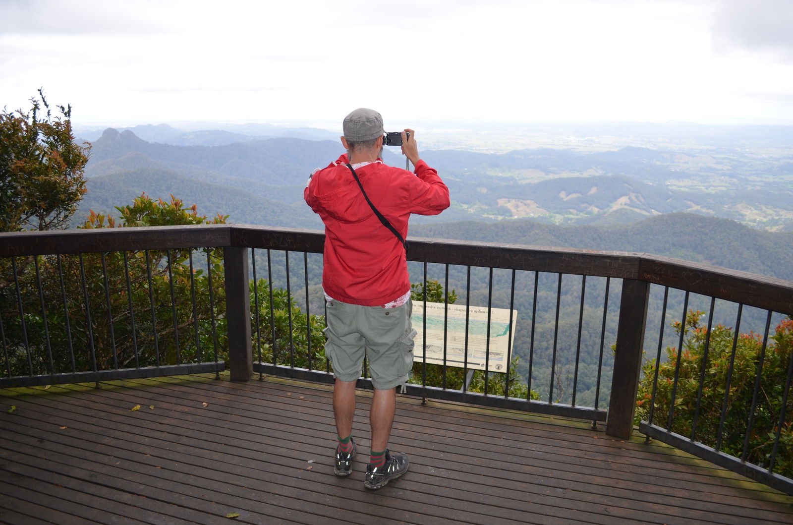 Best of All lookout track, Springbrook National Park