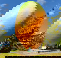 Big Mango - Kawana Tourism