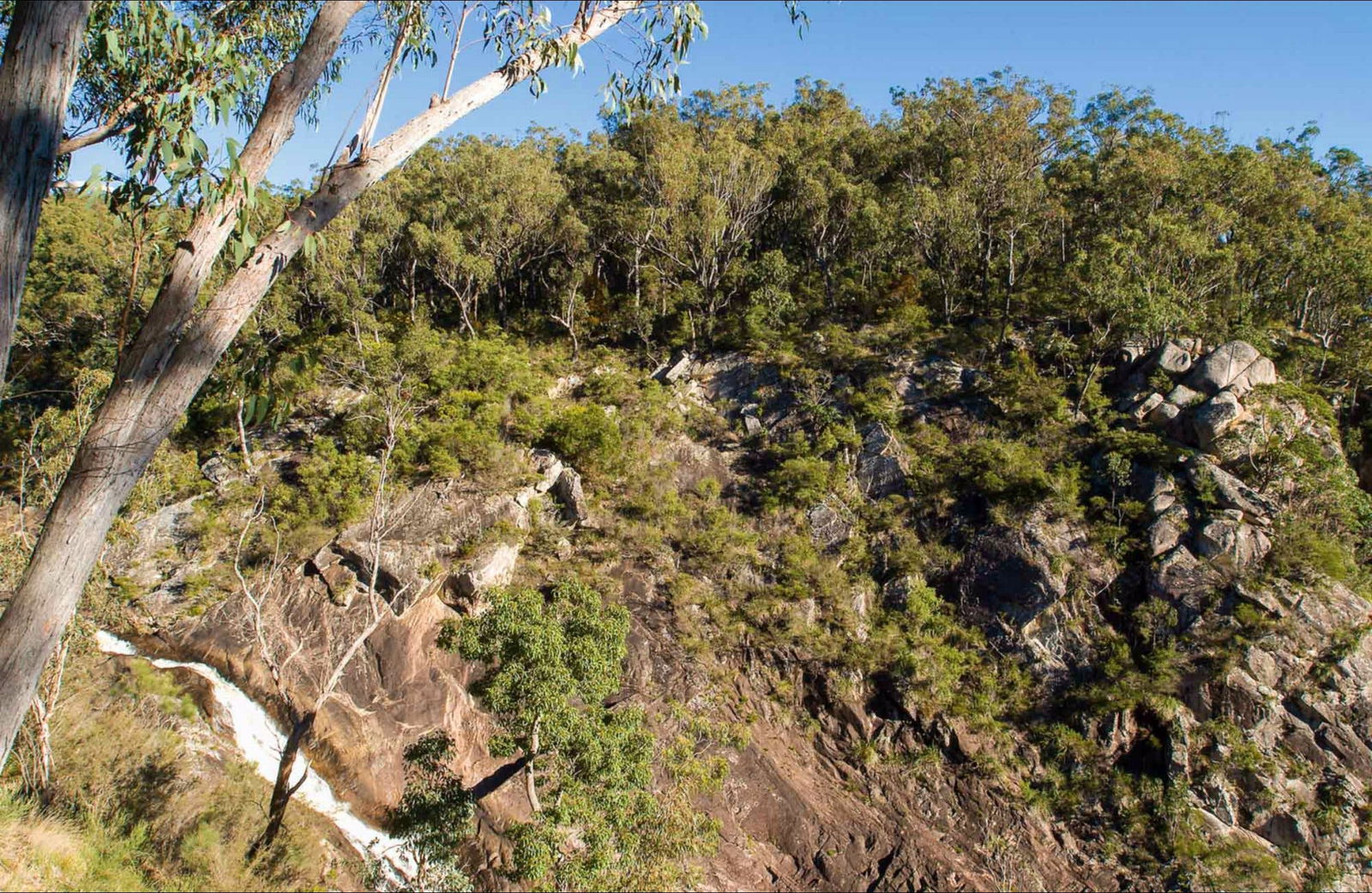 Boonoo Boonoo Falls picnic area Logo and Images