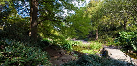 Botanic Garden, Wollongong - Accommodation Broken Hill 2