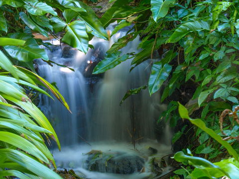 Brisbane Botanic Gardens Mount Coot-tha - Lightning Ridge Tourism 1