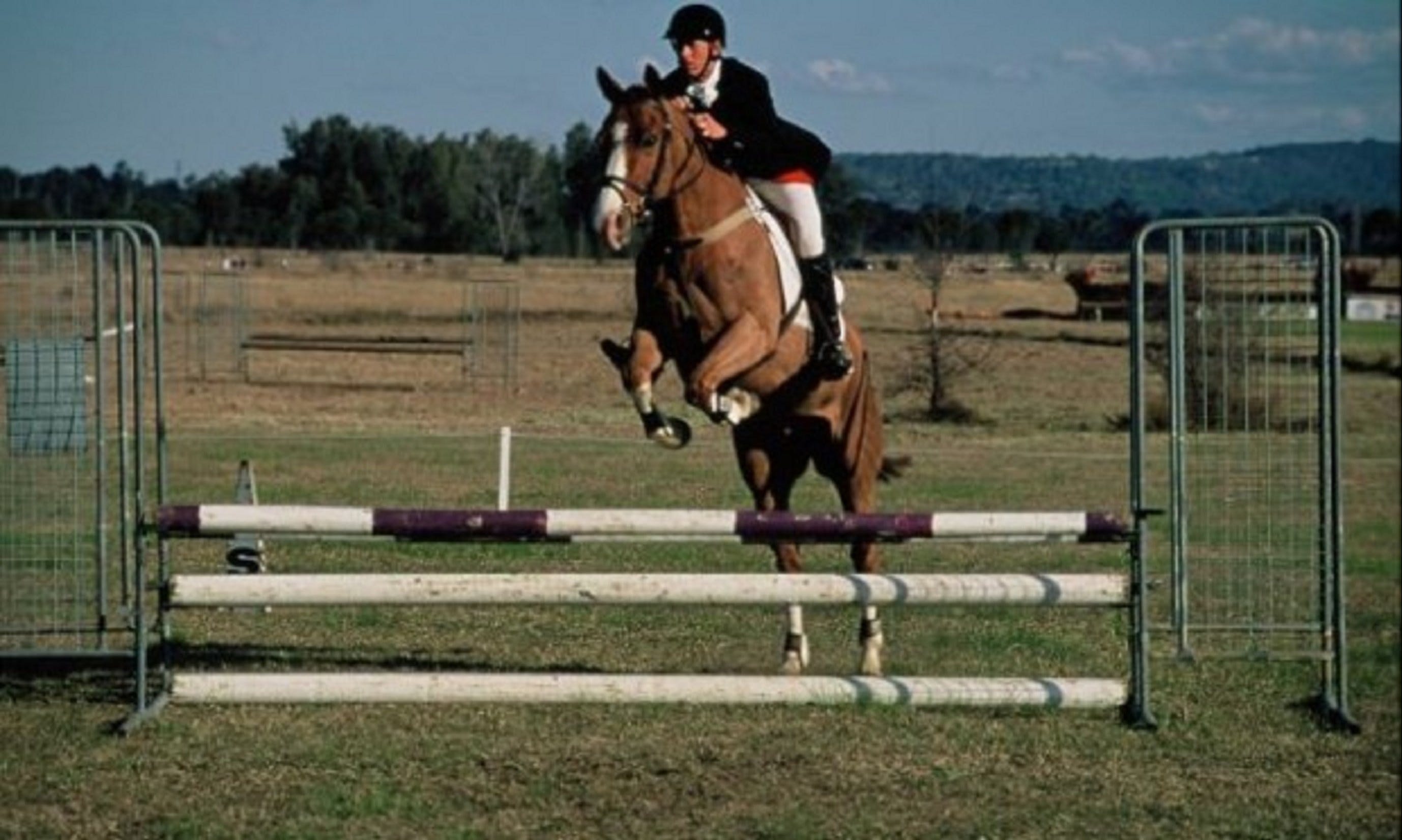 Camden Bicentennial Equestrian Park - thumb 0
