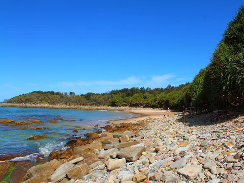 Convent Beach - Accommodation Port Macquarie 2