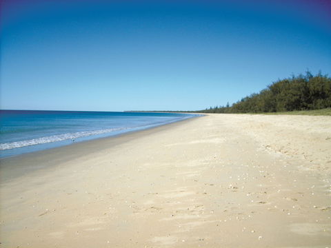 Coral Coast Pathways (Woodgate Beach Section) - Byron Bay Accommodation 0