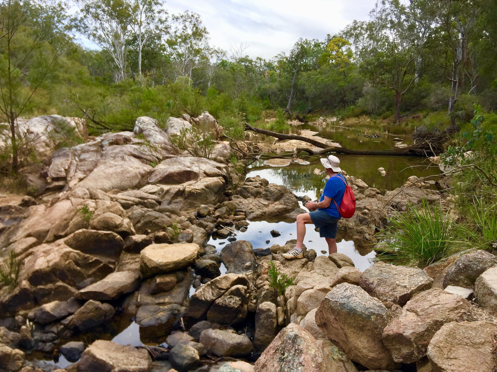 Crows Nest Falls Logo and Images