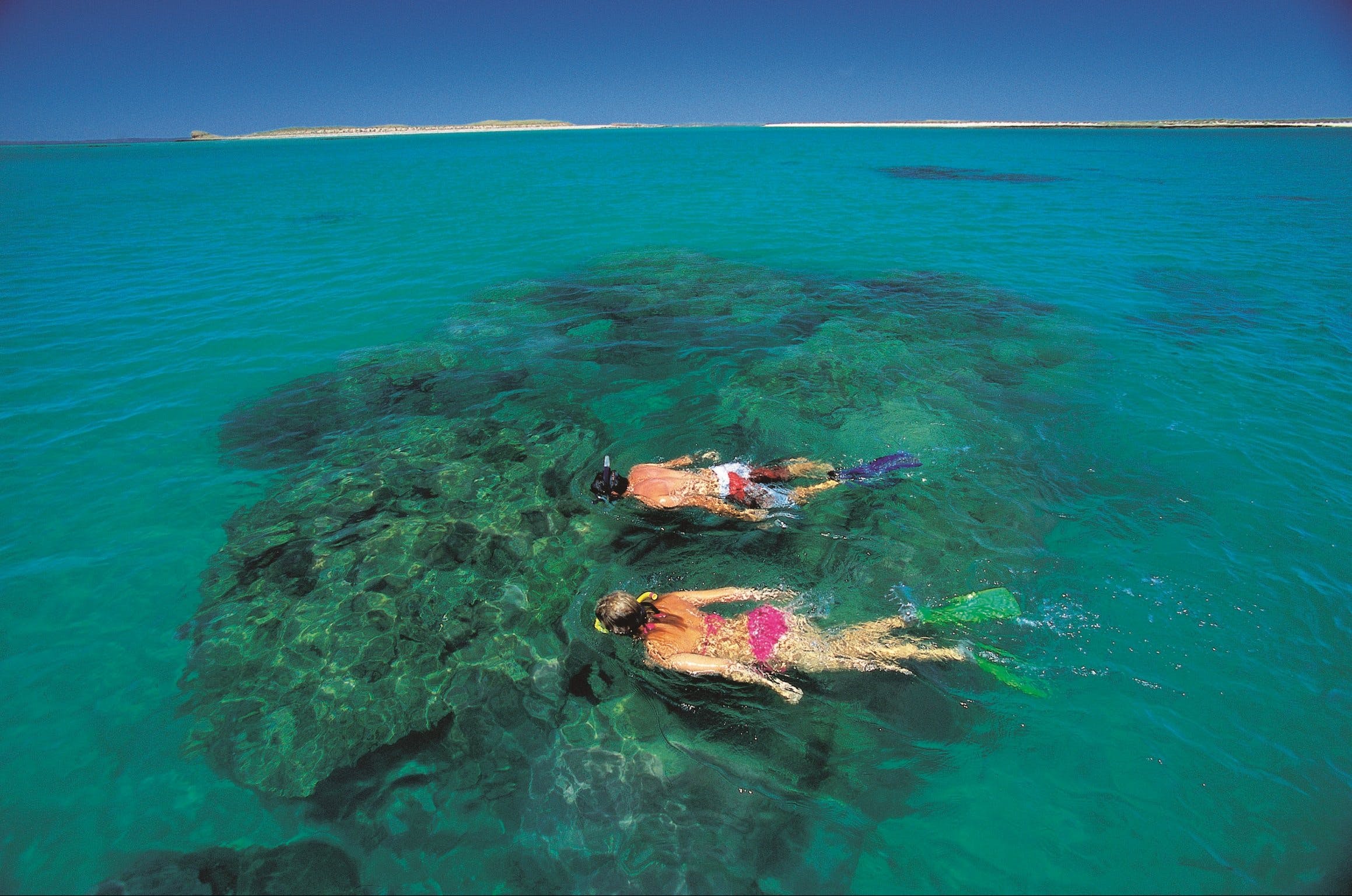Dampier - thumb 2