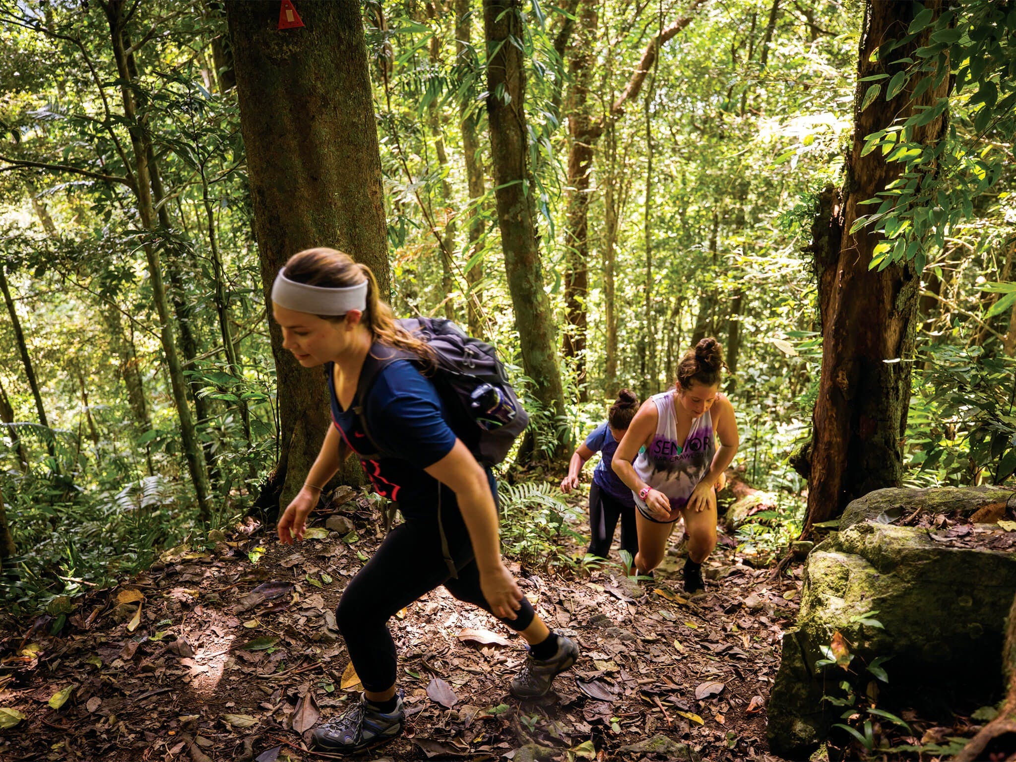 Devils Thumb (Manjal Jimalji) Trail - thumb 0