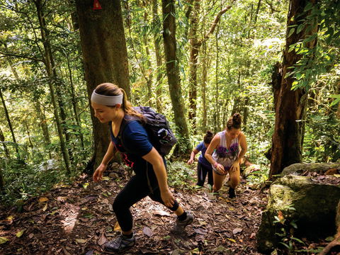 Devils Thumb (Manjal Jimalji) Trail - Stayed 0