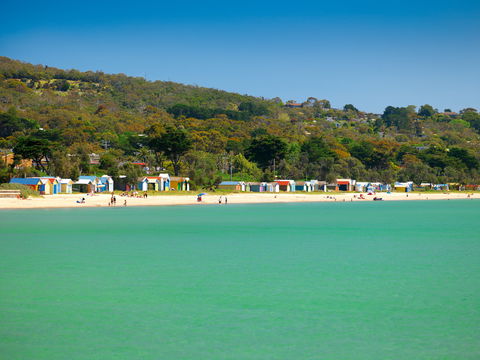 Dromana Bay Trail - Accommodation Directory 0