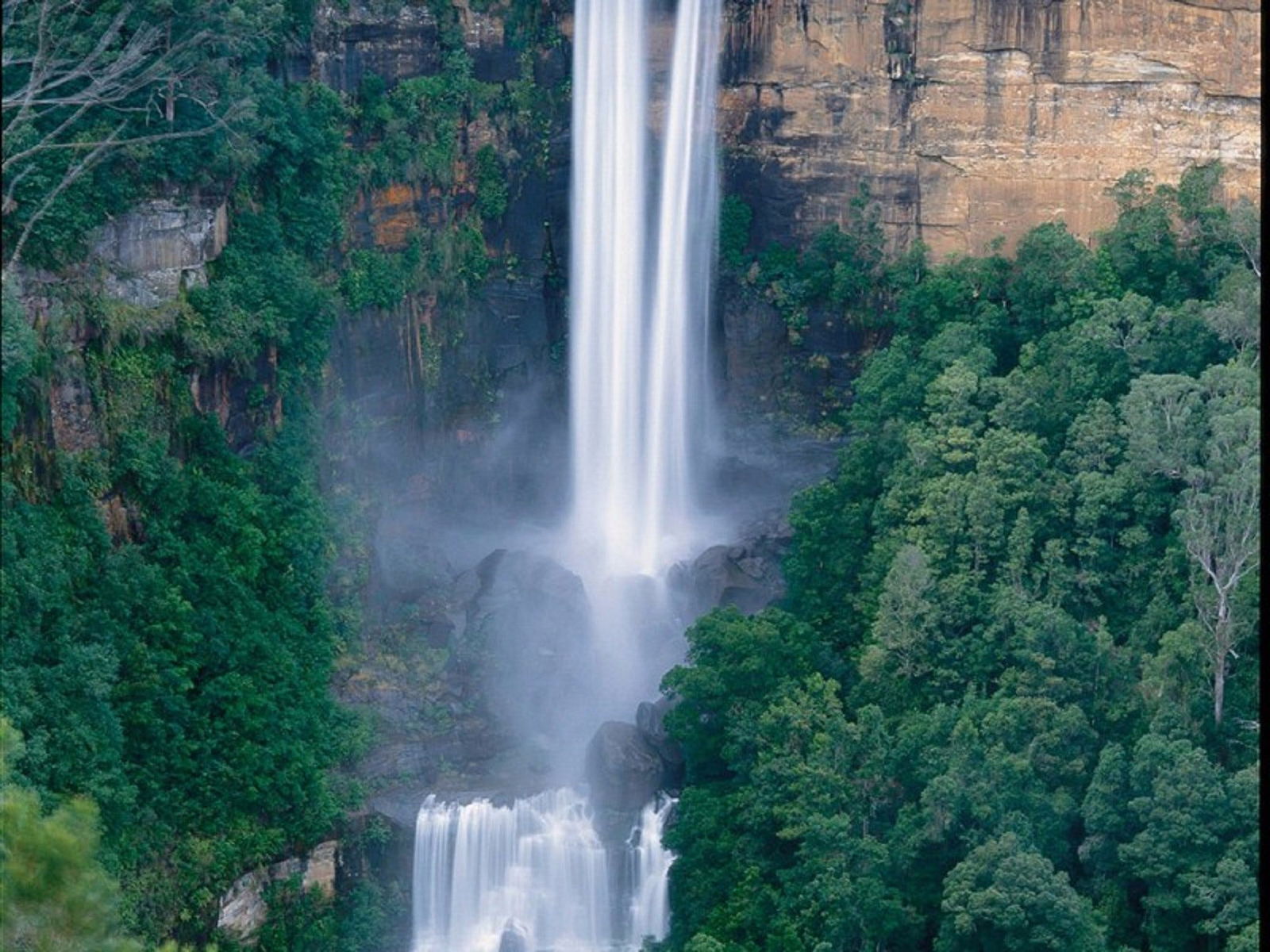 Fitzroy Falls Logo and Images