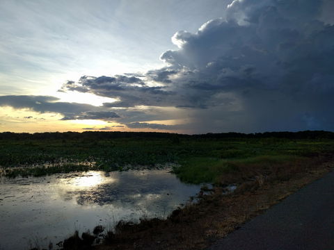 Fogg Dam Conservation Reserve - Accommodation NT 2