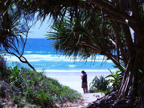 Frazers Reef - Accommodation Sunshine Coast 0