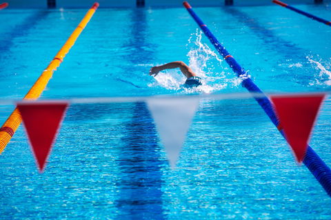 Gold Coast Aquatic Centre - Accommodation Georgetown 1