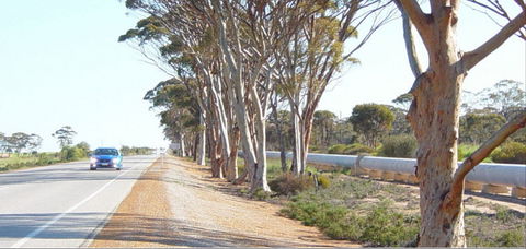 Golden Pipeline Heritage Trail - Mackay Tourism 0