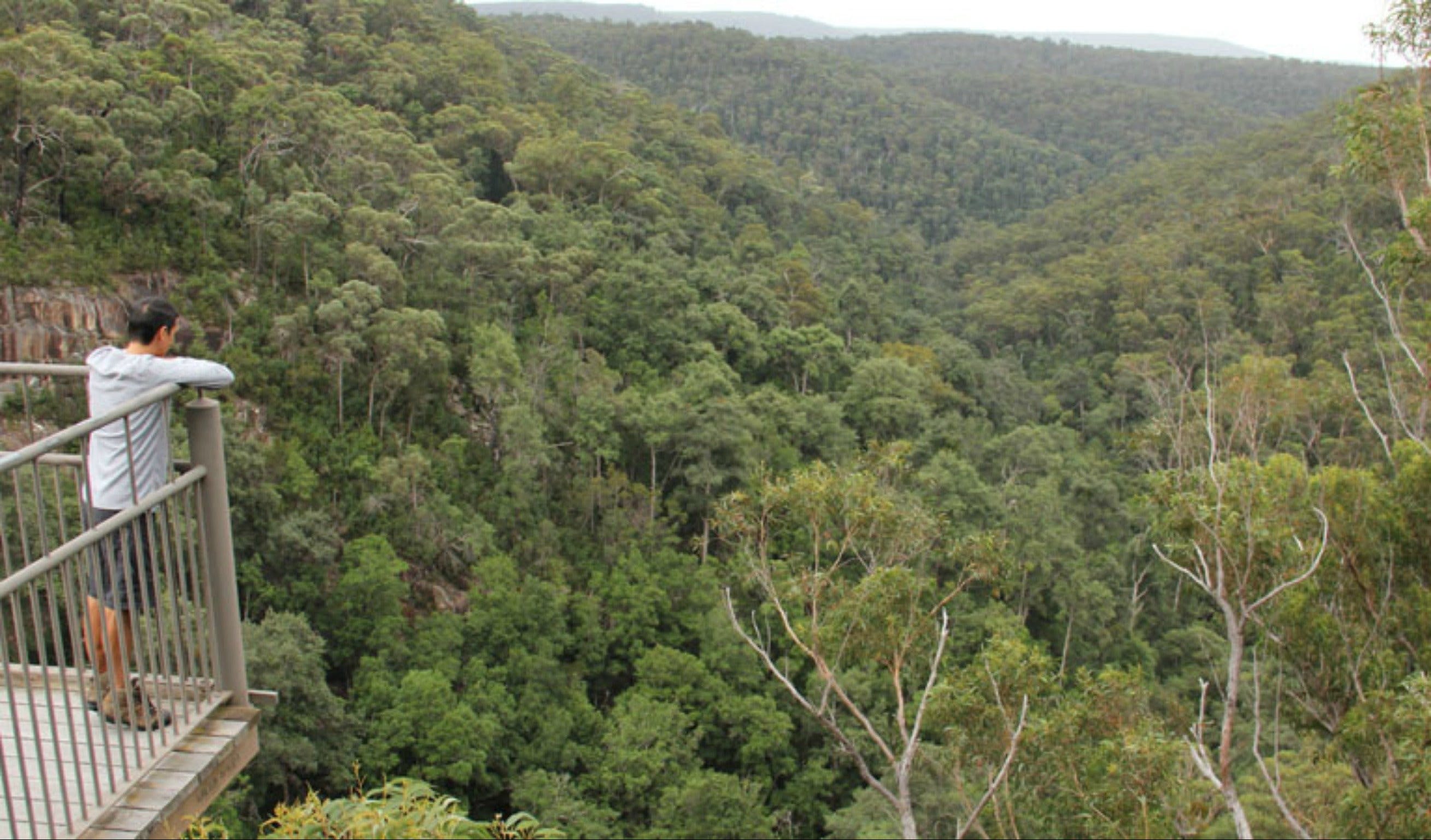 Granite Falls Walking Track - thumb 0