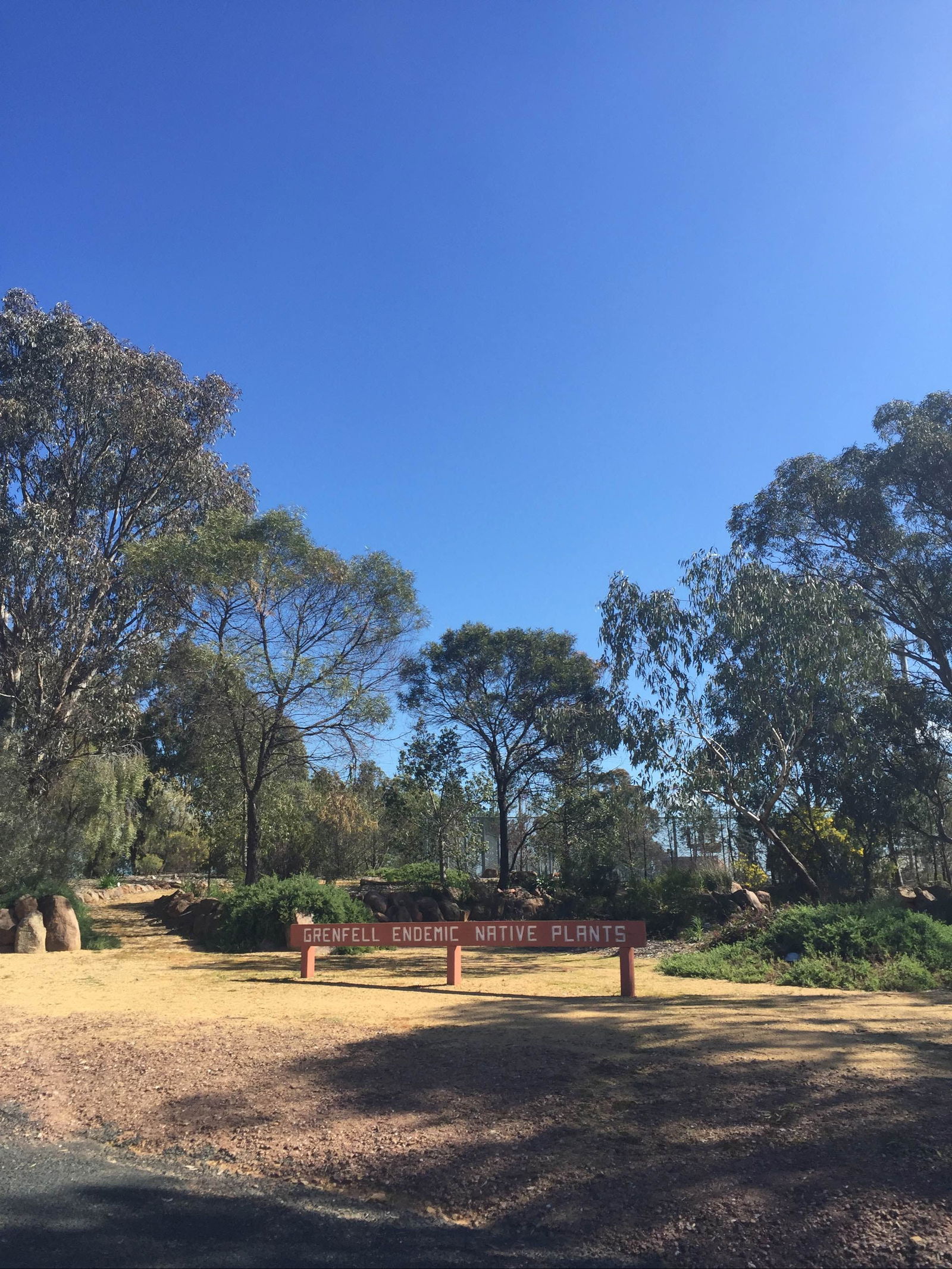 Grenfell Endemic Garden - thumb 0