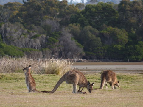 Great Nature Trail - Surfers Gold Coast 0