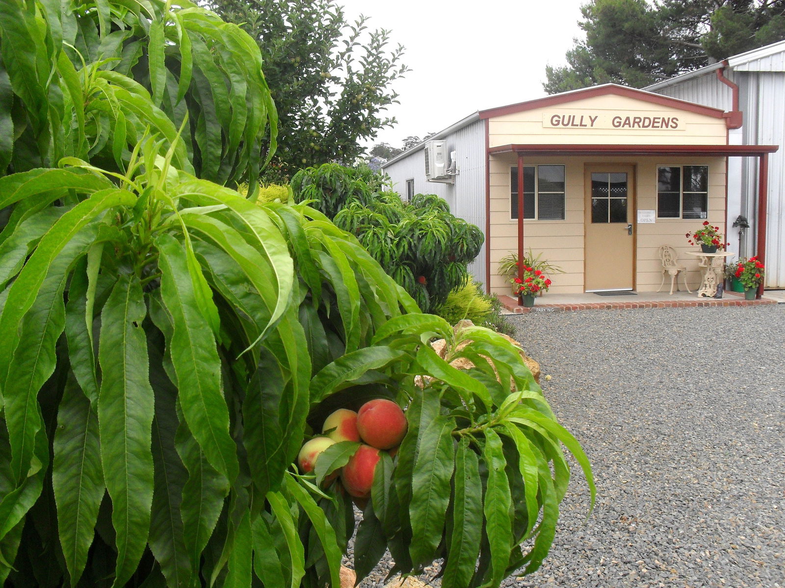 Angaston SA Wagga Wagga Accommodation