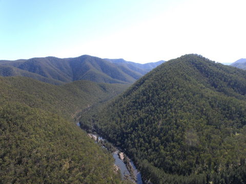 Guy Fawkes River National Park - Northern Rivers Accommodation 0