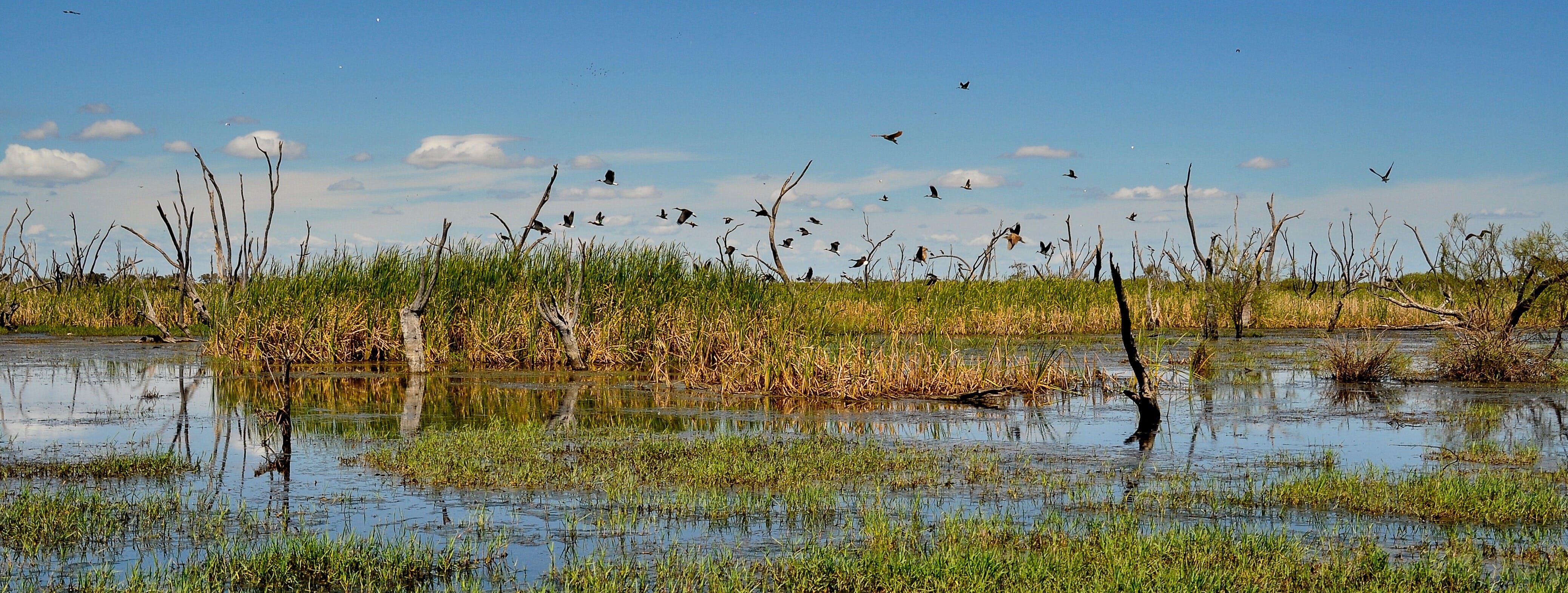 Gwydir Wetlands Moree - thumb 1