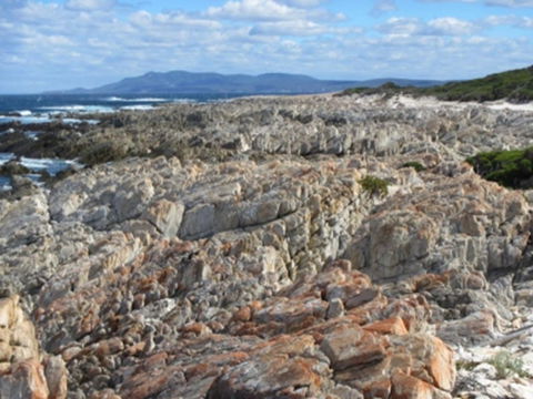 Hakea Walk Trail, East Fitzgerald National Park - Tourism Bookings WA 1