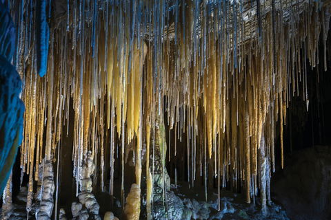 Hastings Caves And Thermal Springs - Accommodation Port Hedland 0