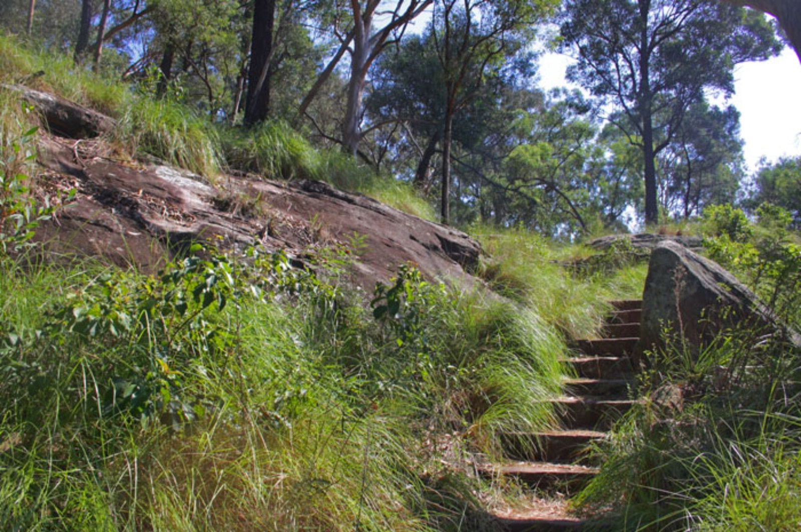 Ingleburn Reserve Logo and Images