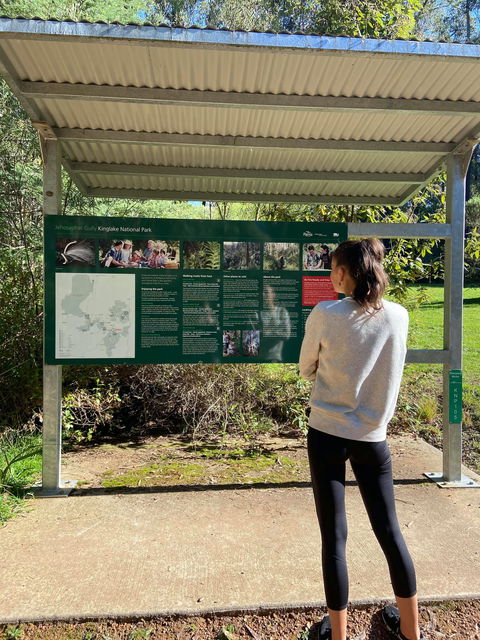 Jehosaphat Gully Picnic Area - Accommodation Brisbane 0