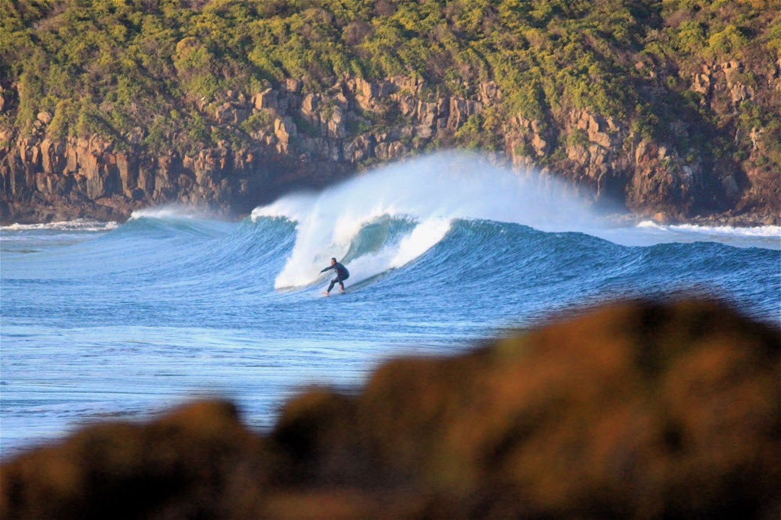 Killalea Reserve - thumb 1