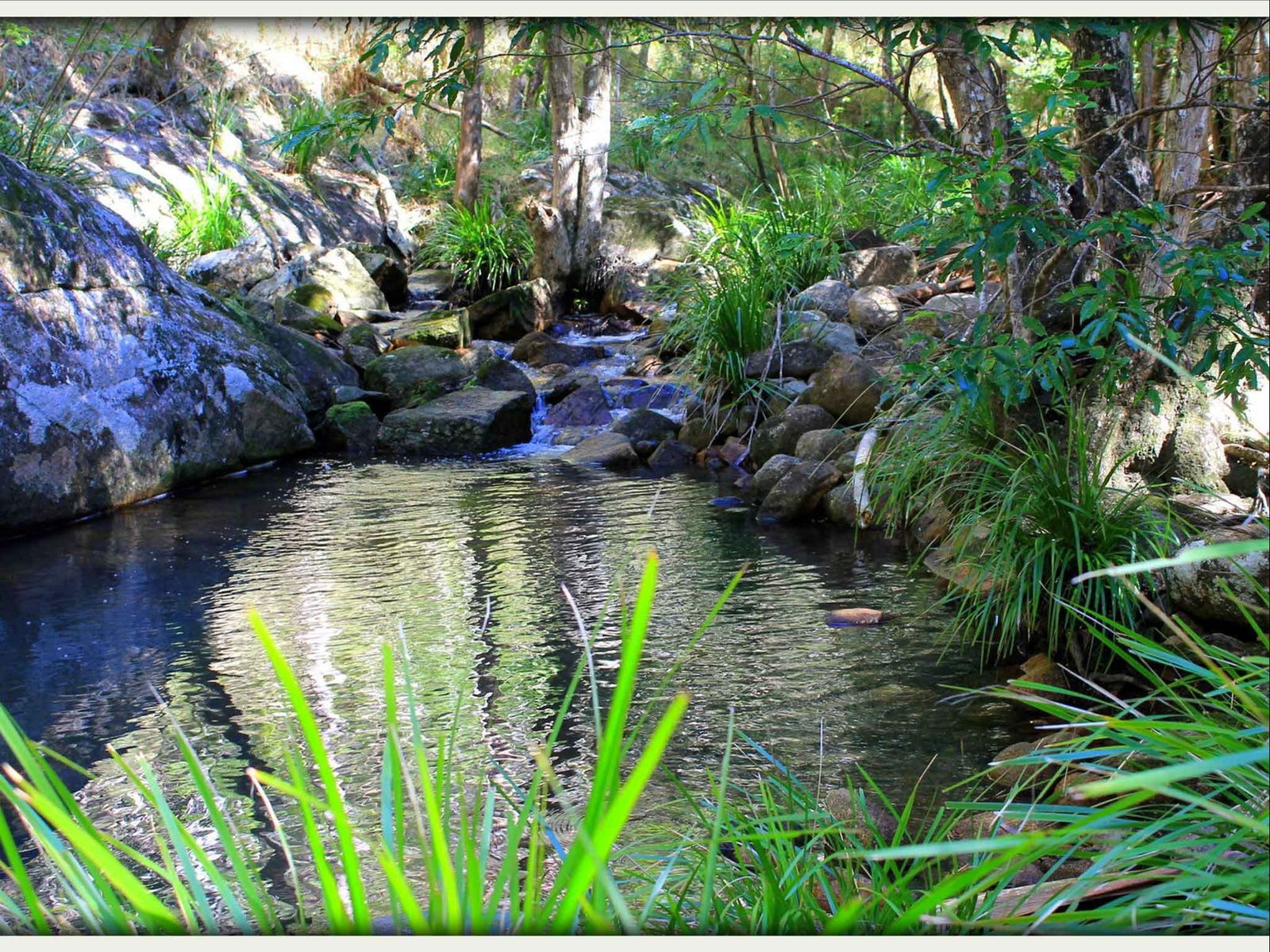 Kin Kin QLD Accommodation Find