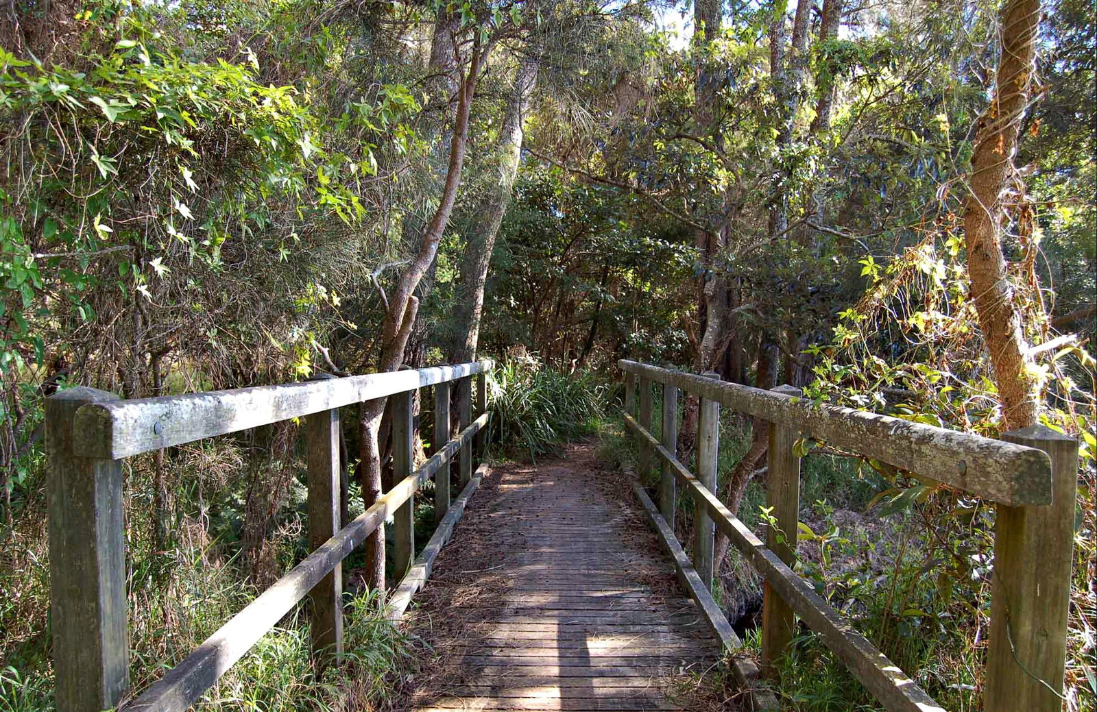 Lake Macquarie State Conservation Area Logo and Images