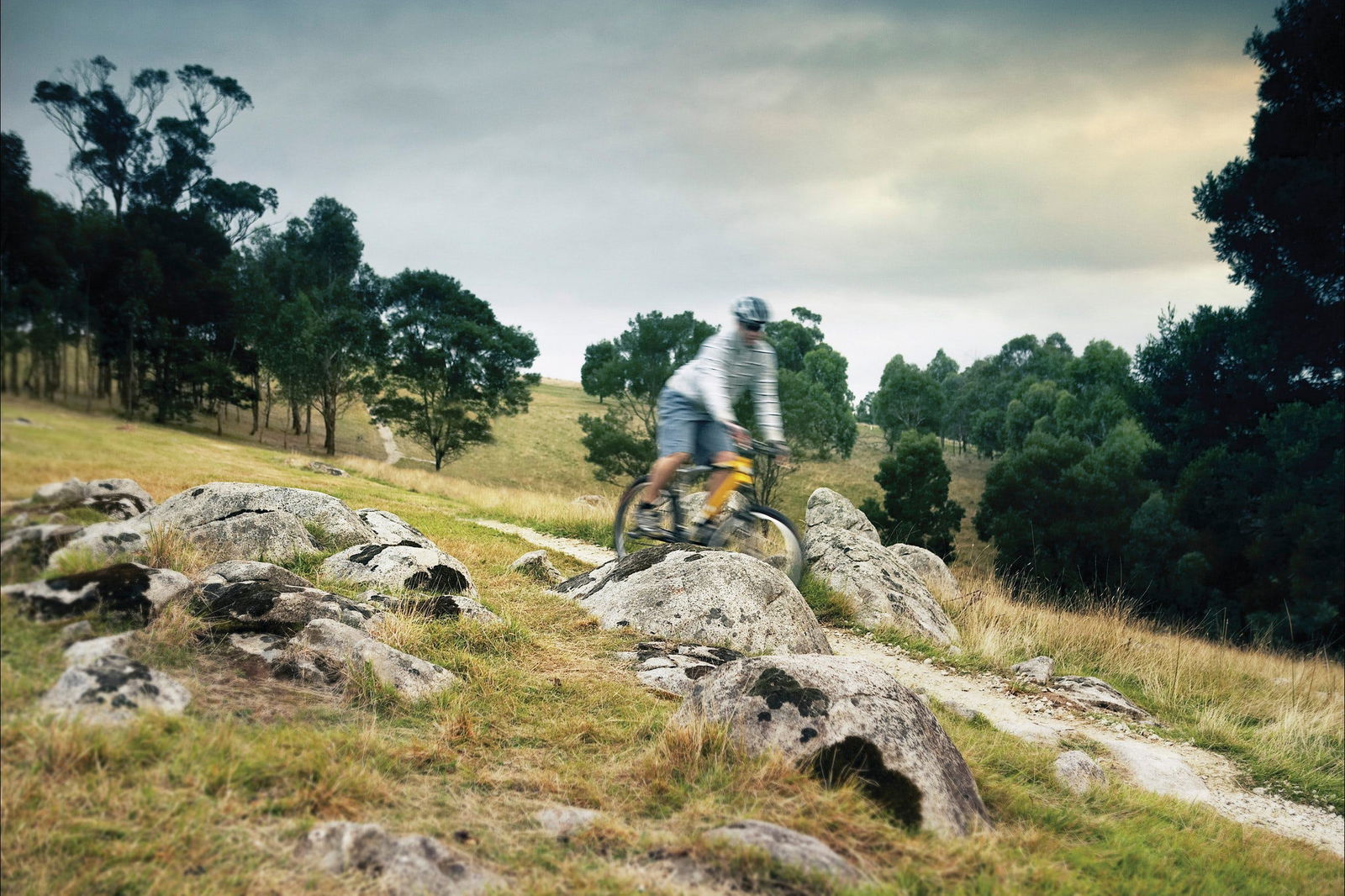 Lysterfield Park Logo and Images