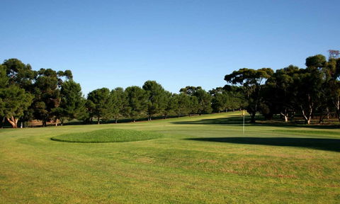 Mannum Golf Club - Accommodation Sunshine Coast 0