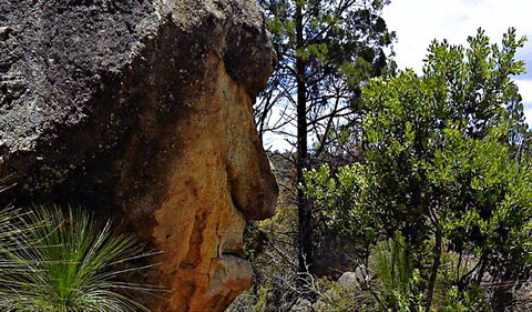 Mystery Face Walking Track - Accommodation QLD 0