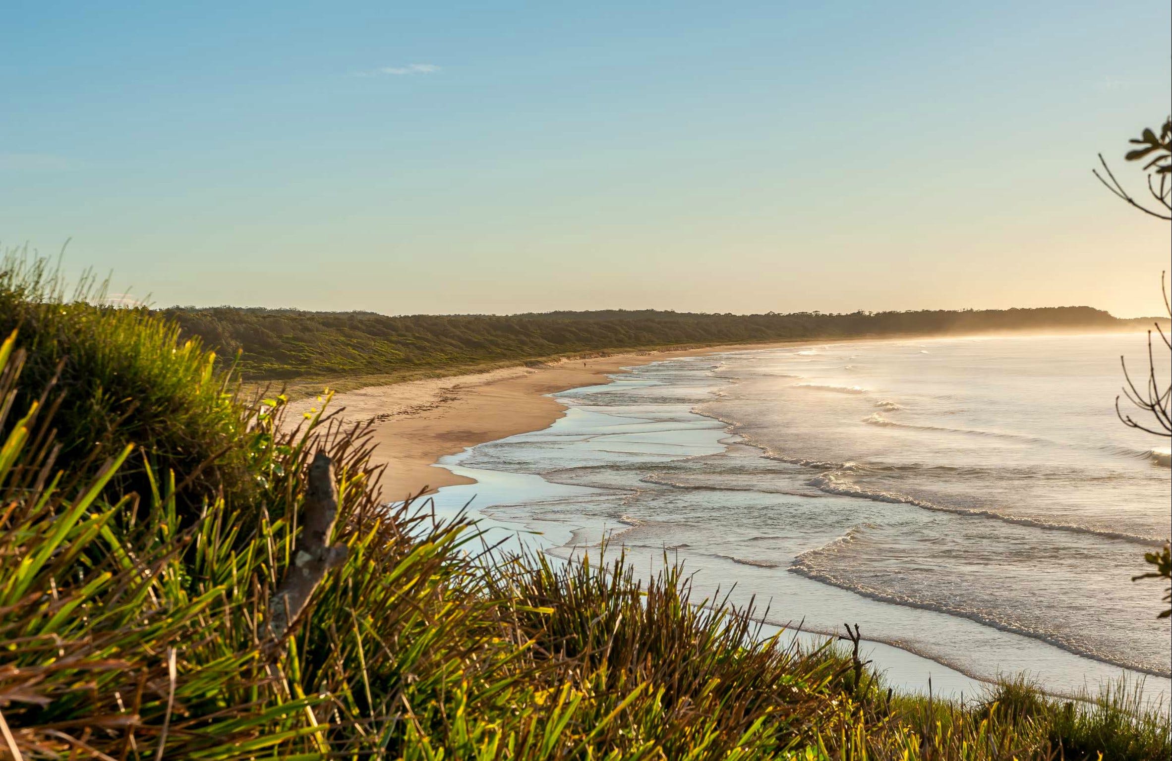 Narrawallee Creek Nature Reserve - thumb 0