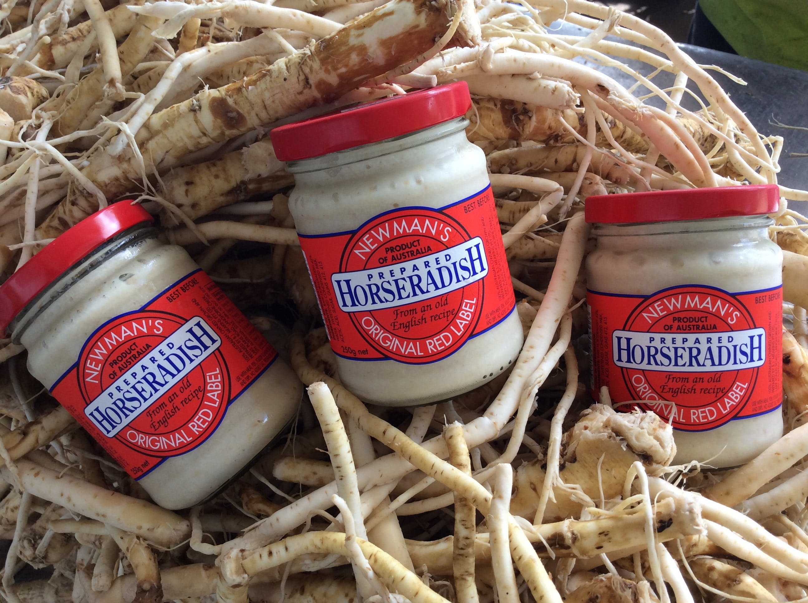 Newman's Horseradish Farm And Rusticana Wines - thumb 0