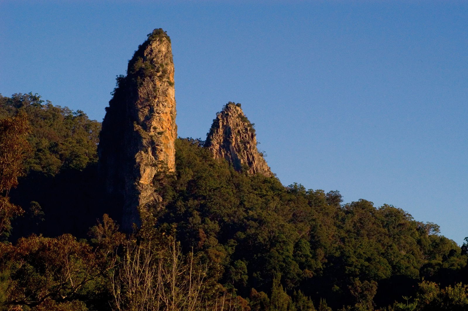 Nimbin Rocks Logo and Images