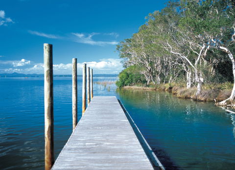 Noosa Everglades - Accommodation Daintree 1