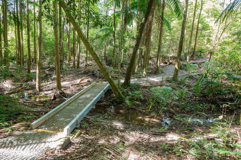 Old Bottlebutt - NT Tourism 0
