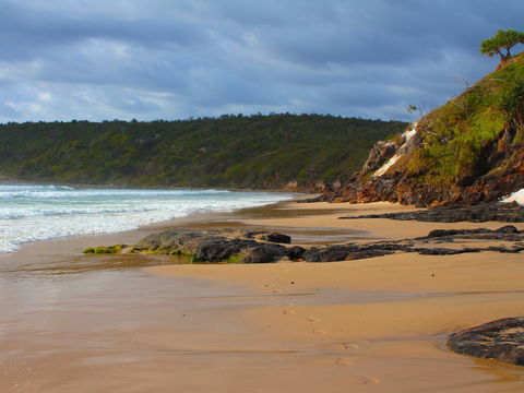 One Man Bluff - Accommodation Port Macquarie 1