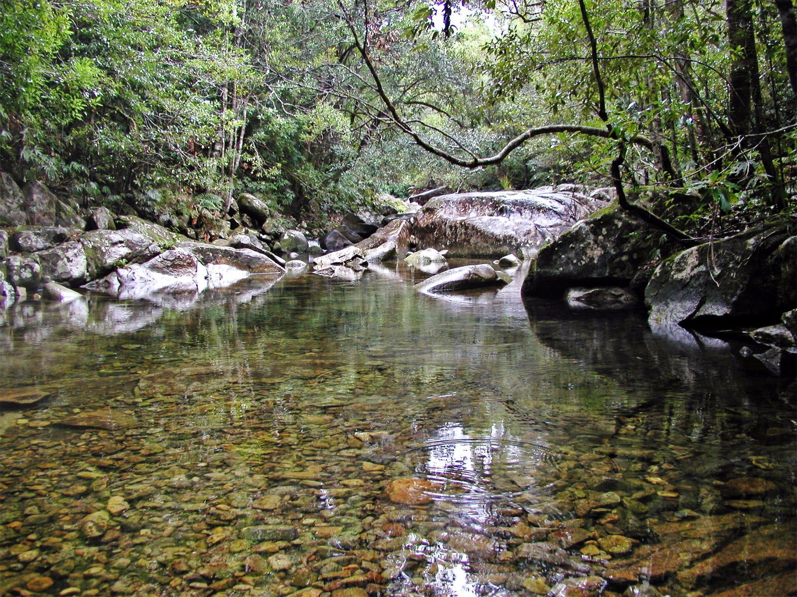 Orara River Logo and Images