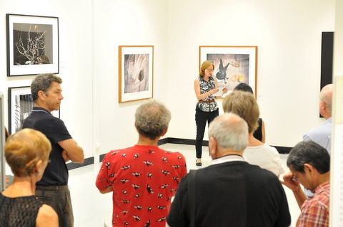 Pine Rivers Art Gallery - Holiday Jervis Bay 1