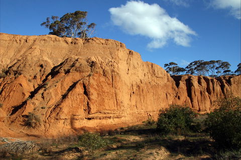 Red Banks Conservation Park - Brisbane Tourism 0